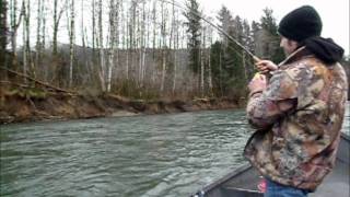 Olympic Peninsula Winter Steelhead w Springers Sportfishing [upl. by Nauqaj]