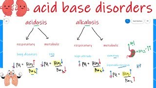 Acid base disorders  renal physiology  whiteboard [upl. by Haisej]