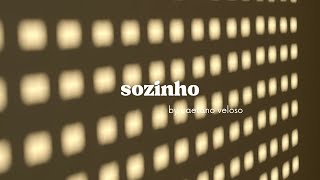 sozinho  caetano veloso cover [upl. by Nitnelav]