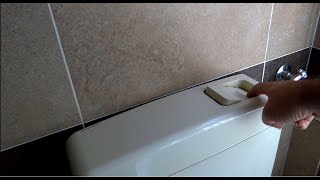 Come cambiare lo sciacquone del bagno  How to replace toilet flush [upl. by Obla]