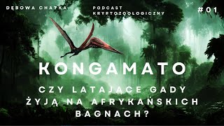 Podcast Kryptozoologiczny  Czy Prehistoryczne Latające Gady Atakują Ludzi Na Afrykańskich Bagnach [upl. by Adalheid]