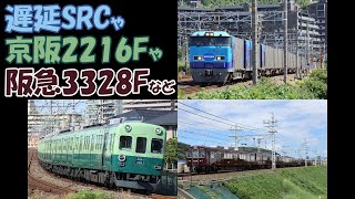 【京阪＆阪急も】合間に遅延SRCがやってきた【4K対応】 [upl. by Yrekcaz604]