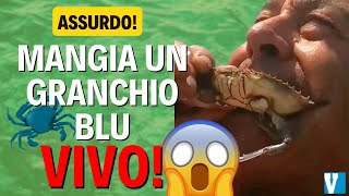 Un pescatore mangia un granchio blu VIVO in diretta [upl. by Amyaj]