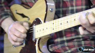 Fender American Deluxe Telecaster Thinline [upl. by Luiza]