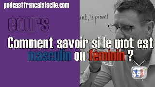 Comment savoir si un mot est masculin ou féminin niveau A1A2 [upl. by Eak]