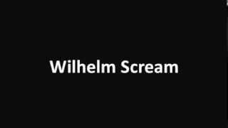 Wilhelm Scream sound effect [upl. by Gwendolin]