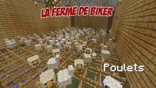 La Ferme de MrBiker37  Chicken Run [upl. by Ssor]