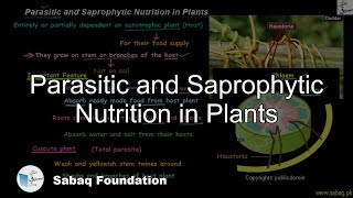 Parasitic and Saprophytic Nutrition in Plants Biology Lecture  Sabaqpk [upl. by Rickey]