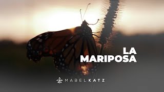 ¿Tú qué harías con la MARIPOSA 🦋 ► HOOPONOPONO con Mabel Katz [upl. by Orsola]