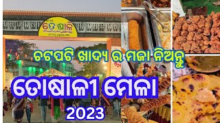 ତୋଷାଳୀ ମେଳାToshaliMela 2023Toshali National Craft MelaBhubaneswartoshalifoodjunction [upl. by Yecad]