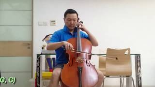 Versum vs Magnacore Cello Strings [upl. by Tsiuqram995]