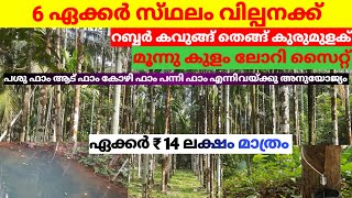 എല്ലാ ആദായവുംഉള്ള 6 ഏക്കർ ഏക്കർ ₹14 ലക്ഷം മാത്രം  six acre agricultural land acre ₹14 realestate [upl. by Habeh852]