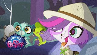 Littlest Pet Shop  Just Unplug Official Music Video [upl. by Blanding923]