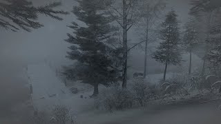 Intense Freezing Blizzard at the Lake┇Howling Wind┇Nature Sounds for Sleep Study amp Relaxation [upl. by Prevot]