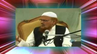 Are Quran translations enough Mufti Taqi Usmani [upl. by Nysilla]