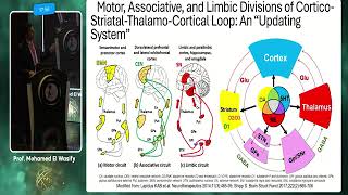 Diagnosis and Treatment of Anhedonia الشغف [upl. by Reggis373]