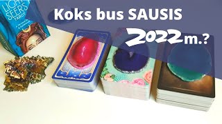 Taro  Koks bus SAUSIS 2022 m [upl. by O'Meara723]