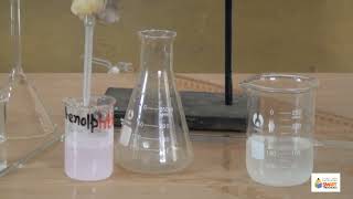 Standardize the given NaOH solution volumetrically  Chemistry 10th  Practical  2 [upl. by Yahsal]