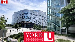 York University Campus Full Tour 2024 [upl. by Acirtap28]