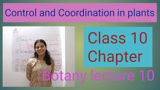 Lecture 10  class 10 chapter  Control and coordination in plants [upl. by Annaitsirk]