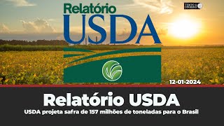 Relatorio USDA  Projeção de safra de 157 milhões de toneladas para o Brasil Argentina 50 milhões [upl. by Annawd]