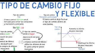 Tipo de cambio fijo y flexible  Cap 16  Macroeconomía [upl. by Hsirrehc75]