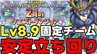 【2月のクエスト】Lv89固定チーム！ド安定立ち回り解説！【パズドラ】 [upl. by Tallulah]