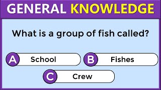 30 General Knowledge Questions How Good Is Your General Knowledge challenge 200 [upl. by Lenroc]