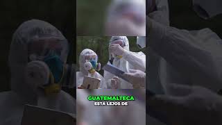 ¡Invirtiendo en el Futuro La Ciencia de Guatemala [upl. by Rhetta792]