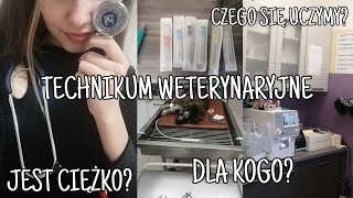 TECHNIKUM WETERYNARYJNE  CZY WARTO IŚĆ 👩🏻‍⚕️📚 [upl. by Afesoj698]