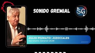 Paro Nacional de la UEJN Piumato desmintió a Milei sobre la realidad salarial de los Judiciales [upl. by Kenon915]