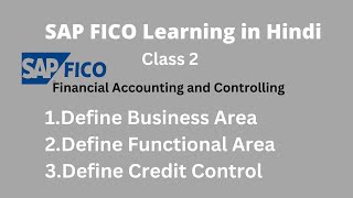 SAP FICO Class 2 in Hindi  Define Business Area  Define Functional Area  Define Credit Control [upl. by Ynottirb]