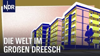 Leben im Hochhaus  Dreesch 1  3  Doku  NDR Story [upl. by Edgard]