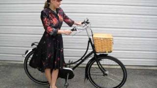 My Dutch Bicycle [upl. by Albertina]