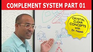 Complement System  Immunology  Part 118 [upl. by Nodal833]