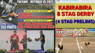 KABIRABIRA 8 STAG DERBY 4 STAG PRELIMS OCT19 2021Pitmasters live fight schedules [upl. by Jude]