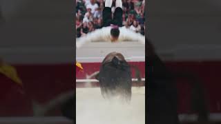 Perfecto salto del ángel al toro de Marco Espí shorts [upl. by Zetta]