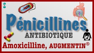 Les Pénicillines  TOUT Savoir  Antibiotiques AMOXICILINE AUGMENTIN Pharmacologie et Toxicité [upl. by Yhtommit]