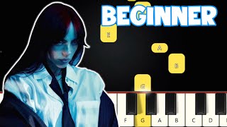 WILDFLOWER  Billie Eilish  Beginner Piano Tutorial  Easy Piano [upl. by Hgiel812]