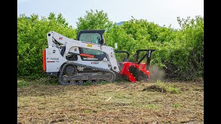 Skid Steer Forestry Mulcher [upl. by Wadesworth]