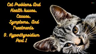 9 Hyperthyroidism in Cats Part 1 shorts cats [upl. by Whiting]