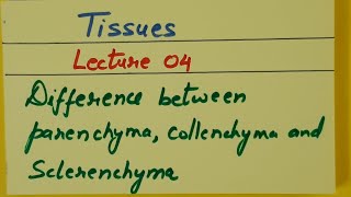 Class 9th Biology Tissues Lecture 04 Difference between parenchyma collenchyma and sclerenchyma [upl. by Gytle409]