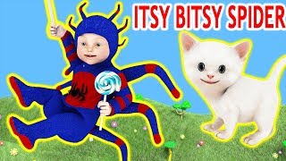 Itsy Bitsy Spider went up the waterspout Nursery Rhyme [upl. by Delogu]