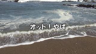 銚子市 海鹿島海岸から鉄砲台までを散策 [upl. by Hayne]