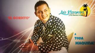 Luis Kazanova y su Fuerza Tropical  El Gordito Audio [upl. by Hosea]