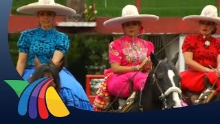 Escaramuza charra la reina nacional  Noticias [upl. by Acsicnarf385]