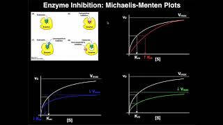 Enzyme Inhibitors  Mechanisms MichaelisMenten Plots amp Effects [upl. by Esilenna146]