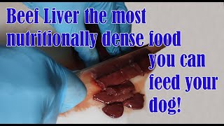 Calves Liver For your Dog [upl. by Hurley277]