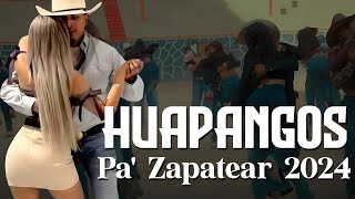 Mix de Huapangos  Huapangos Para Bailar Zapateado  Puros Huapangos Para Bailar Mix 2024 [upl. by Hansel]