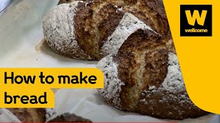 The science behind how to make bread  Wellcome [upl. by Eilema]